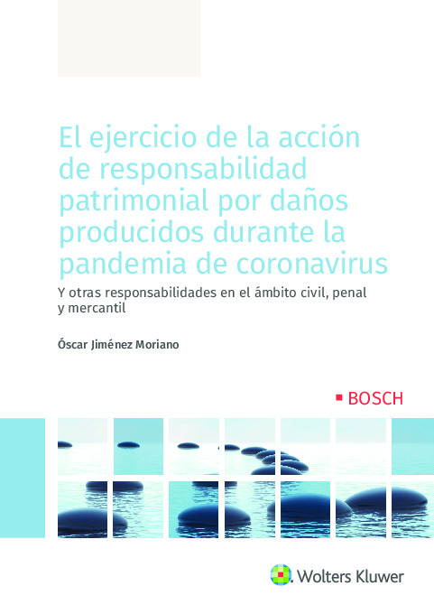 El ejercicio de la acción de responsabilidad patrimonial por daños producidos durante la pandemia de coronavirus