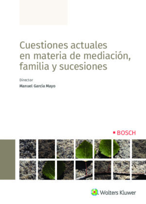 Cuestiones actuales en materia de mediación, familia y sucesiones