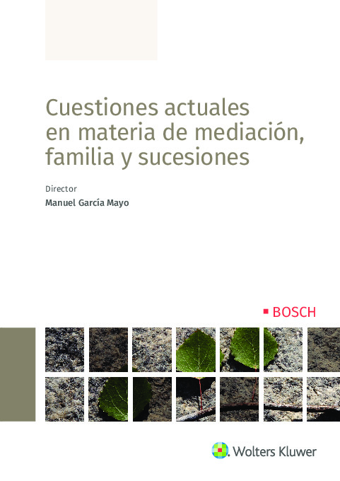 Cuestiones actuales en materia de mediación, familia y sucesiones