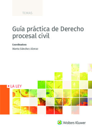 Guía práctica de Derecho procesal civil