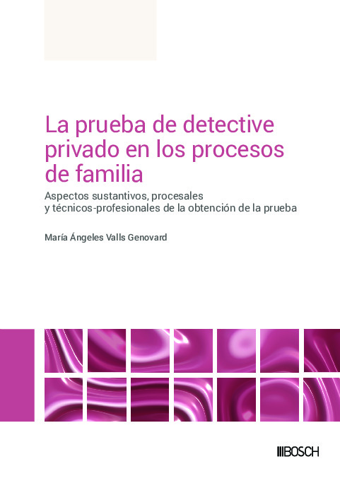 La prueba de detective privado en los procesos de familia