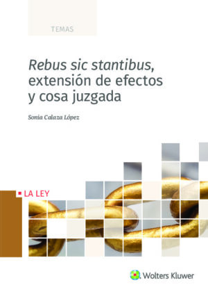 Rebus sic stantibus, extensión de efectos y cosa juzgada