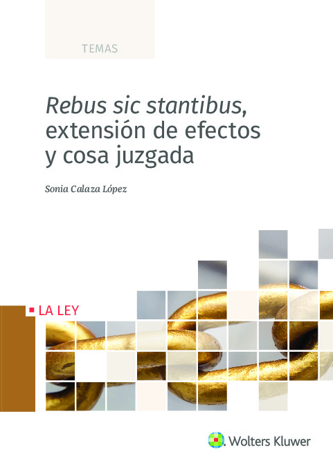 Rebus sic stantibus, extensión de efectos y cosa juzgada