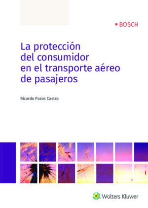 La protección del consumidor en el transporte aéreo de pasajeros