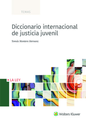 Diccionario internacional de justicia juvenil