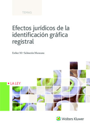 Efectos jurídicos de la identificación gráfica registral