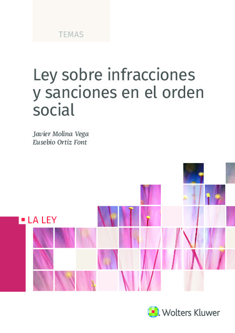 Ley sobre infracciones y sanciones en el orden social