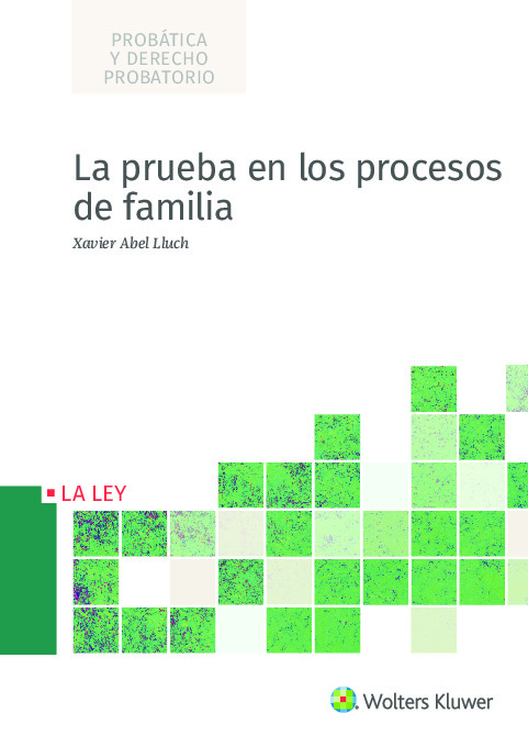 La prueba en los procesos de familia