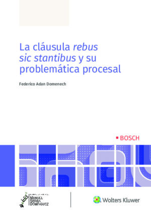 La cláusula rebus sic stantibus y su problemática procesal