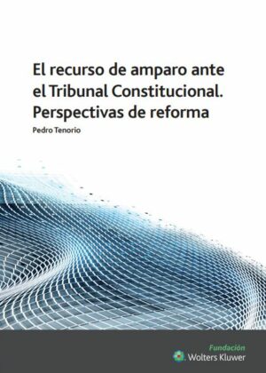 El recurso de amparo ante el Tribunal Constitucional. Perspectivas de reforma