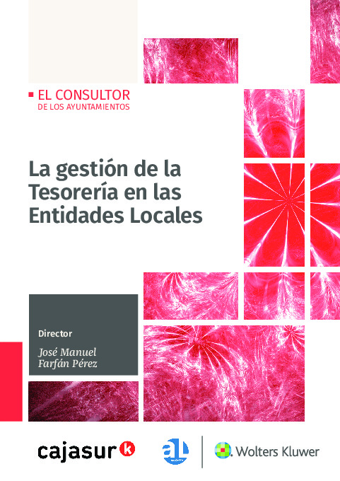 La gestión de la Tesorería en las Entidades Locales