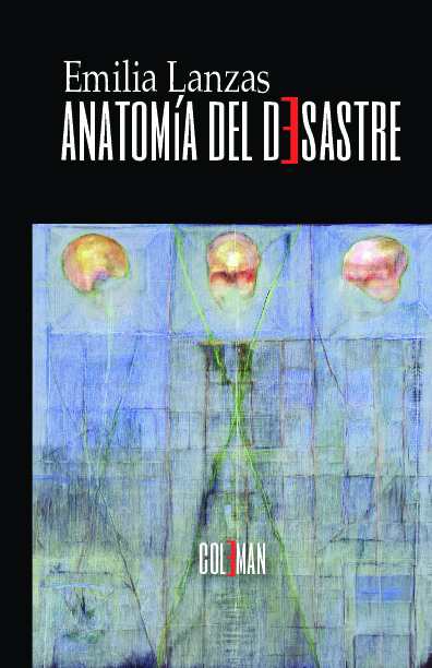 Anatomía del desastre