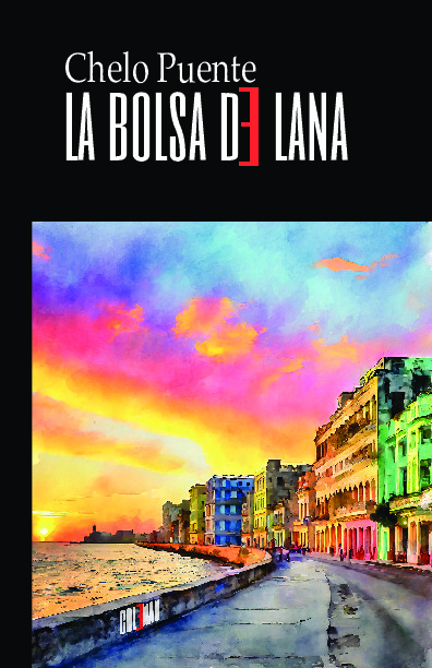 La bolsa de lana