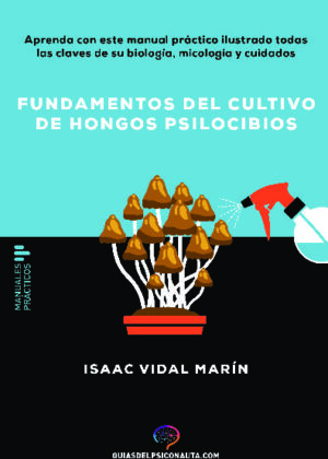 Fundamentos del cultivo de hongos psilocibios