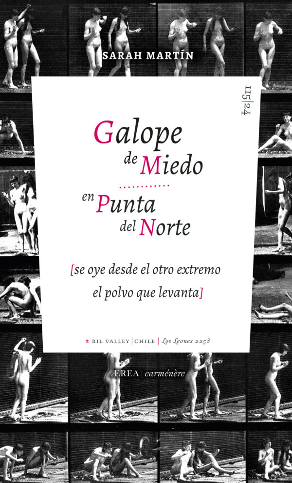 Galope de Miedo en Punta del Norte (90gr)