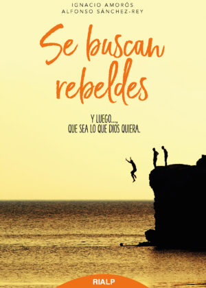 Se buscan rebeldes