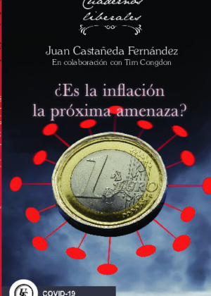 5. ¿ES LA INFLACIÓN LA PRÓXIMA AMENAZA?