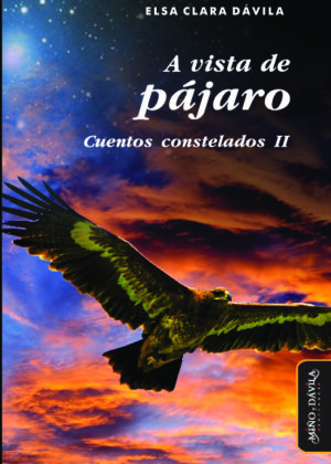 A vista de pájaro. Cuentos constelados II