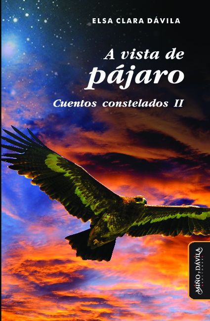 A vista de pájaro. Cuentos constelados II