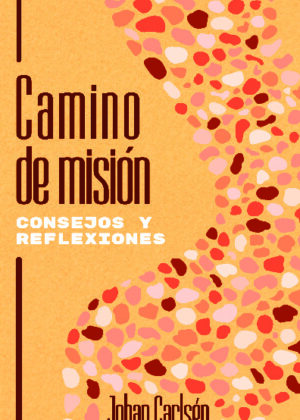 Camino de misión