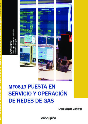 Puesta en servicio y operación de redes de gas