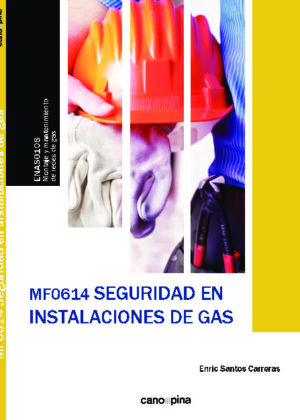 Seguridad en instalaciones de gas